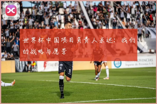 世界杯中国项目负责人亲述:我们的战略与愿景