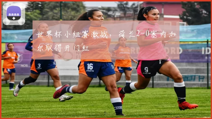 世界杯小组赛激战,荷兰2-0塞内加尔取得开门红