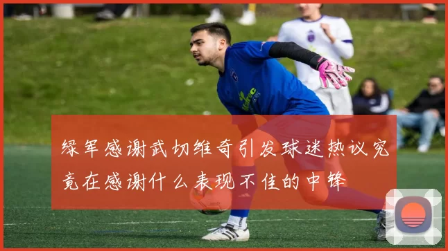 绿军感谢武切维奇引发球迷热议究竟在感谢什么表现不佳的中锋