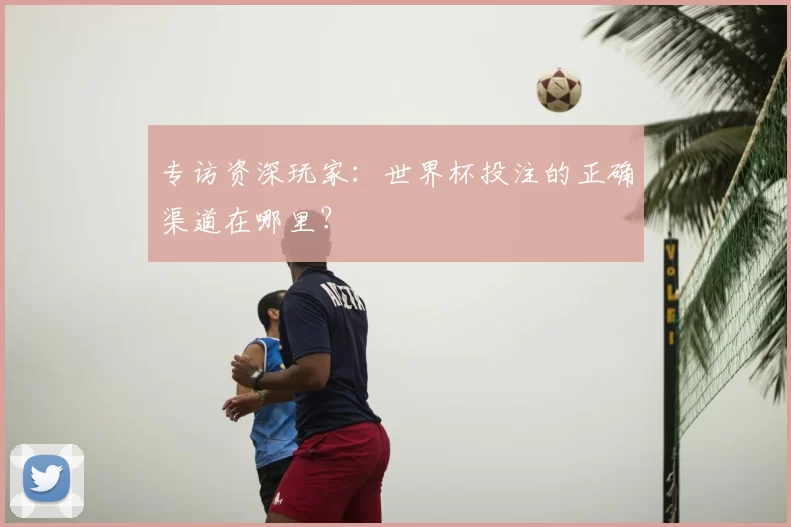专访资深玩家：世界杯投注的正确渠道在哪里？