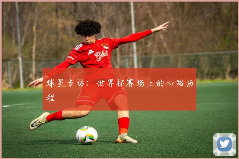 球星专访：世界杯赛场上的心路历程