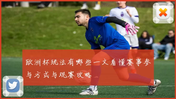 欧洲杯玩法有哪些一文看懂赛事参与方式与观赛攻略
