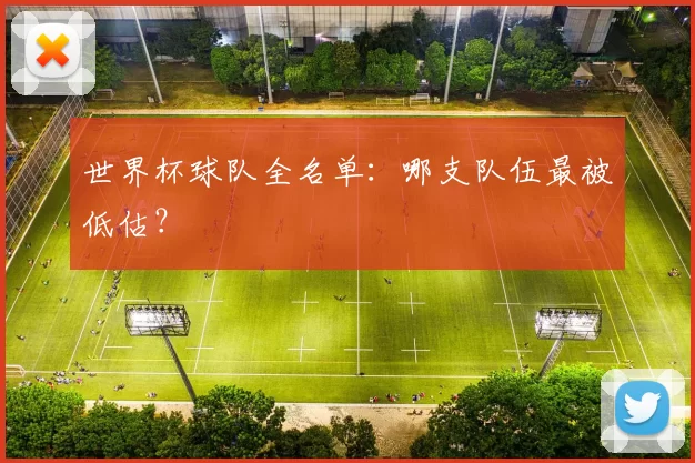 世界杯球队全名单:哪支队伍最被低估?