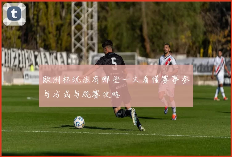 欧洲杯玩法有哪些一文看懂赛事参与方式与观赛攻略