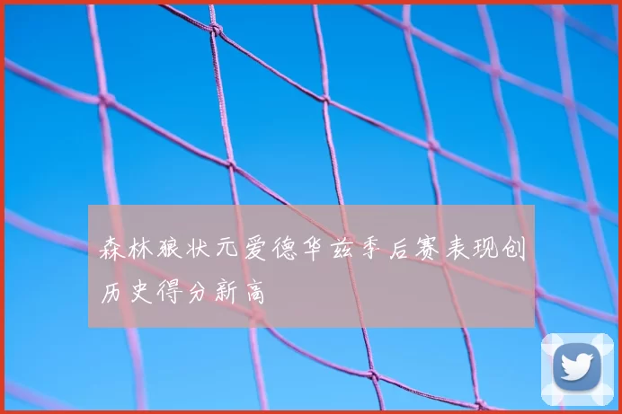 森林狼状元爱德华兹季后赛表现创历史得分新高
